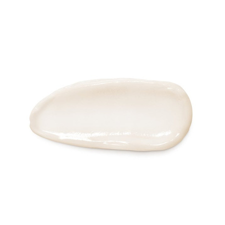 Vichy Neovadiol Kompleks Uzupełniający Odbudowujący i ujędrniający krem na dzień dla skóry normalnej i mieszanej 50 ml