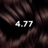Phyto Color Farba do włosów 4.77 INTENSYWNY KASZTANOWY BRĄZ 1 opakowanie