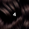 Phyto Color Farba do włosów 4 KASZTAN 1 opakowanie